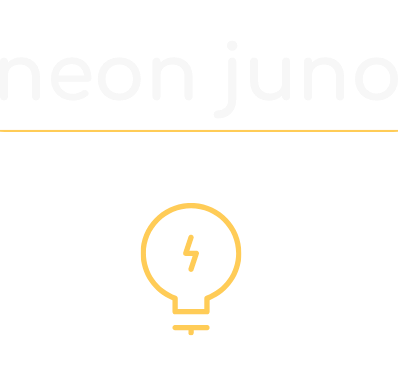 Neon Juno, Business Management consultant, Executive Coaching, Interim Management Solutions