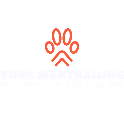 Original on Transparent.png