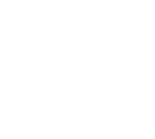 Logo BTTSKing