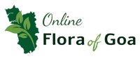 Flora of Goa Site Logo