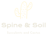 Spine & Soil